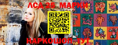 jwh Новозыбков