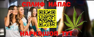 амф Новодвинск