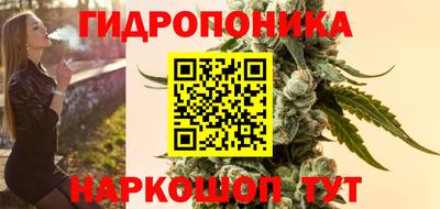 jwh Новозыбков