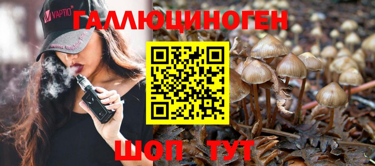Псилоцибиновые грибы мицелий Сыктывкар